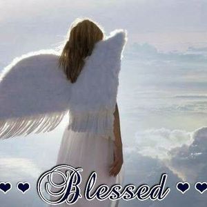 Meet your Posher, Betty